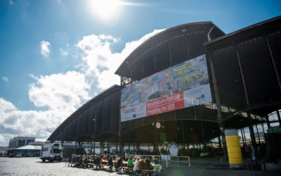 Come play, eat and discover KETMET